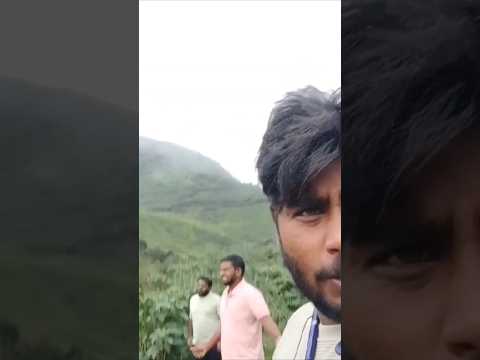 MUNNAR TRIP @LPNVLOGS #LPNVLOGS #munnartravelvlog #munnar #kerela #munnarvibes #TEA #teaplantation