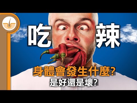 吃辣對身體產生的激烈反應，實際上是發生了甚麼呢? (繁中字幕)