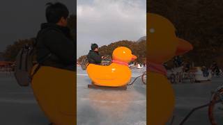 SANJEONG LAKE in #pocheon 포천 산정호수 #travel #korea #viral #trending #satisfying #beta #shorts #fyp