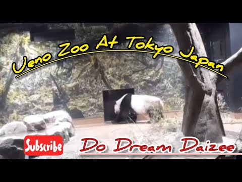 Tokyo Japan #UenoZoo #zoo #tokyojapan #DoDreamDaizee