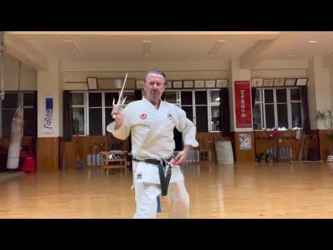 “Chikinshitahaku” nu Sai segment explained #信武舘 #古武道 #karate #shimbukan #okinawa #空手 #kobudo #沖縄