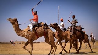 Sounds of India: Camel racing and camel polo in Jaisalmer