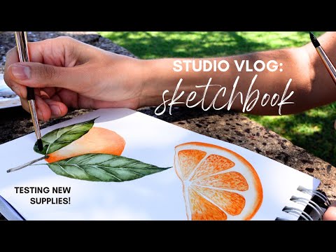 STUDIO VLOG: Painting at the Park, Princeton Travel Brushes, Sketchbook Illustrations