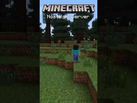 Minecraft’s Most Nostalgic Server