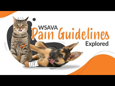 WSAVA fourth vital sign pain assessment guidelines