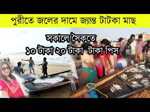 পুরীতে সকালে সস্তায় জ্যান্ত মাছ কিনুন | Puri Beach Fish Market | Puri Beach Fish Price | Sea Beach