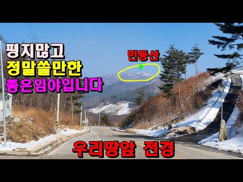 (계약중)조망권좋고  평지많은정말쓸만한 좋은임야입니다/건축가능/해발800m/정선임야/지방도접