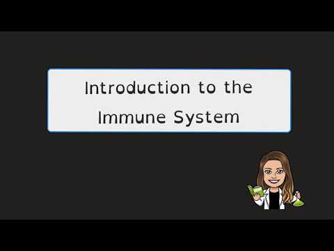 Immune System Overview