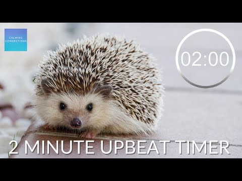 2 Minute Countdown Timer With Upbeat Music ⏲ - Pack Up Time Music - 🦔 Hedgehog packing up timer