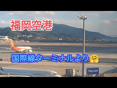 【福岡空港 】国際線の旅😍4−2