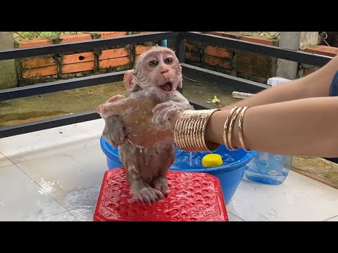 Cute Baby Boy Sit For Mom Take A Bath Look is Very Cute