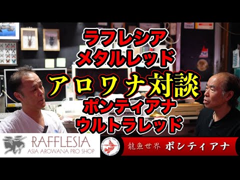 対談⚡️　ウルトラレッド坂本さん✖️メタルレッド福井さん　アロワナ業界を代表する二人　初のyoutube共演