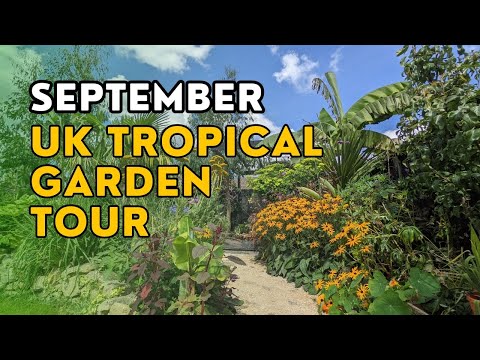 Here's what my UK tropical garden looks like in September (garden walkthrough with planting ideas)