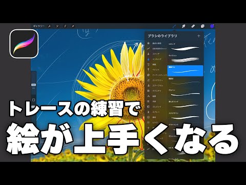 【1日5分】Procreateでトレースして必ず絵が上手くなる方法をご紹介!!【ipad pro/アナログ必見】