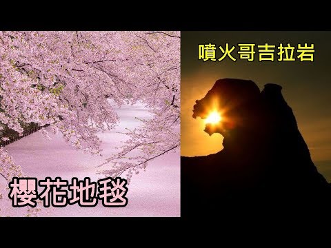 旅遊達人不會輕易告訴你的「日本10大絕密美景」，第9個的櫻花地毯真的美到太超過了！