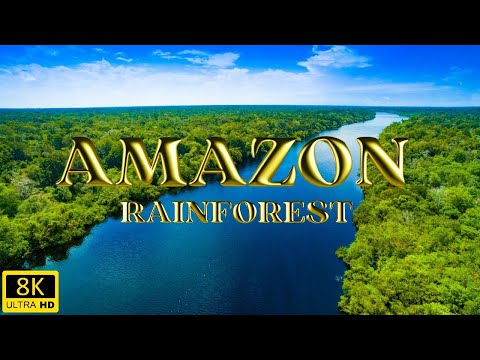 Amazon Rainforest | World's Largest Tropical Forest | 8K Ultra HD