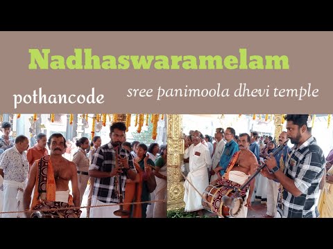 nadaswaram | temple view  നാദസ്വരം