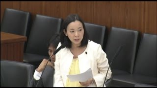 派遣法の問題　吉良よし子議員の質問