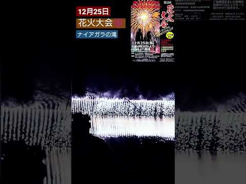 12月25日クリスマスに開催された🎄千葉県東金市八鶴湖の花火大会🎆ナイアガラの滝 #shorts