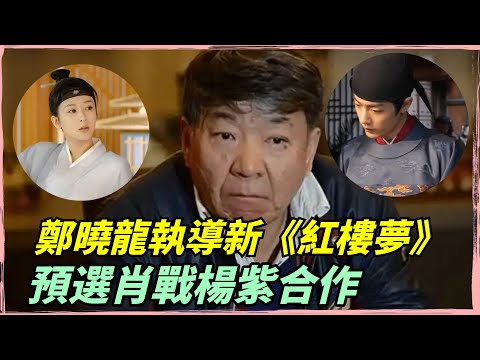 鄭曉龍執導新《紅樓夢》，預選肖戰楊紫合作，期待楊紫演林黛玉嗎？【小娛叭叭叭】#杨紫 #肖战