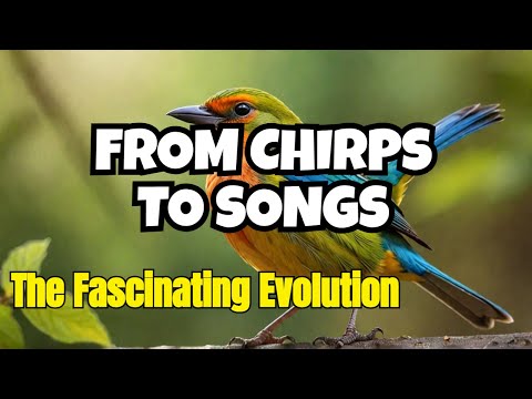 From Chirps to Songs: The Fascinating Evolution of Bird Sounds and Communication