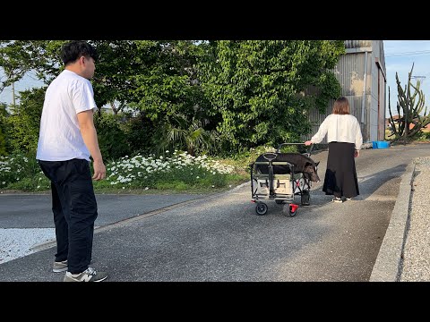 Mom and Buhimaru are going back to mom's parents' house