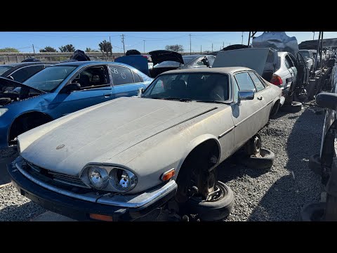 Seven Vintage Jaguars at Two Junkyards in Northern California - XJS XJ6