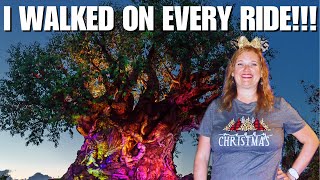 The SECRET Truth About Animal Kingdom's Extended Evening Hours (REVEALED)