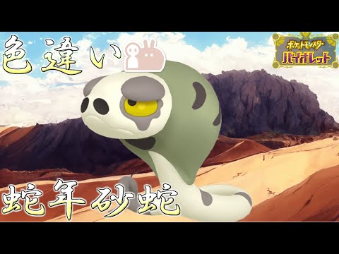 【生放送】最大サイズの色違いスナヘビで欲しいので乱獲祭りな2025冬【ポケモンSV】