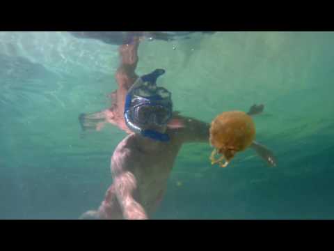 SJCAM Slow Motion Contest Video Winner 4k Action Camera Snorkeling