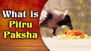 Pitru Paksha - Significance Of Pitru Paksha | पितृ पक्ष का महत्व | What is Pitru Paksha