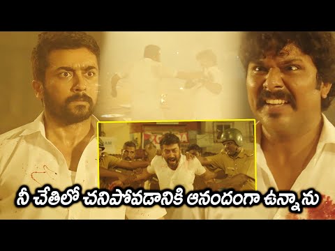 NGK Movie Surya And Aruldoss Mass Action Scene || Latest Telugu Movie Scenes || Matinee Show