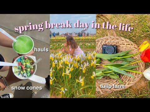 SPRING BREAK DAY IN THE LIFE| hauls, snowcones, tulip farm, dog walker🌷