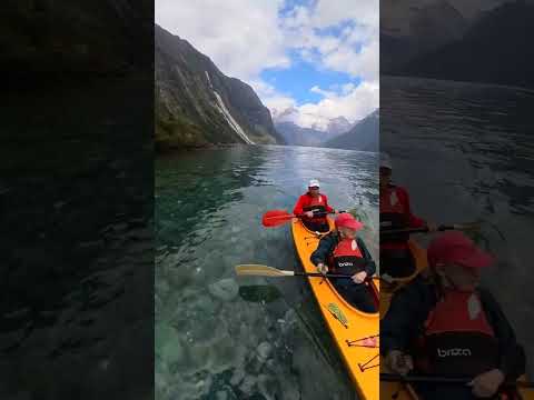 Retirement Travelers: KAYAKING MILFORD SOUND | New Zealand #shorts