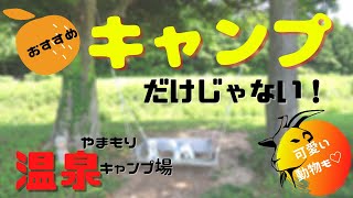 ペットOK【やまもり温泉キャンプ場】素敵な施設内紹介