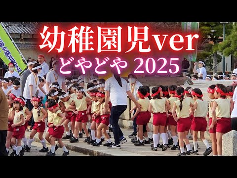 子供達が可愛すぎる❗【幼稚園児Ver】どやどや 2025年/四天王寺