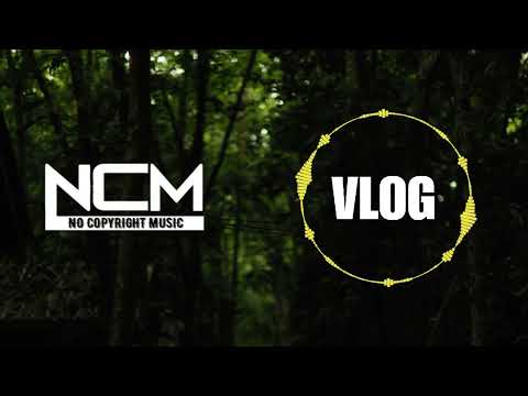 No Copyright Music | Forest Travel Music Copyright free|No Copyright Background Music for Video |