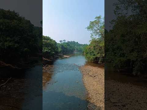 One State Many Worlds 💛❤️ #karnataka #explorepage #explore #travel #gokarna #vibhuthifalls #shorts