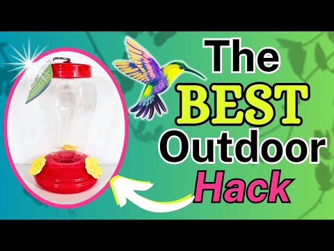 MUST SEE Hummingbird Feeder DIY Hack that Will Leave You AMAZED