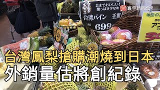 台灣鳳梨搶購潮燒到日本  外銷量估將創紀錄｜寰宇新聞20210308