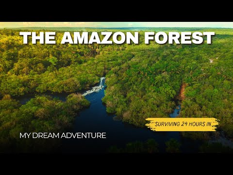 "The Amazon Rainforest: The World's Lungs and Nature's Secret"