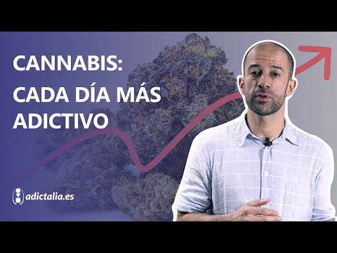 CANNABIS: cada día MÁS ADICTIVO