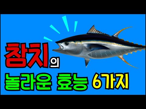 참치의 놀라운 효능 6가지 & 섭취시 주의사항