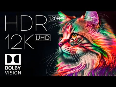 12K HDR 60fps Dolby Vision | HDR Real Clarity 12K HDR Dolby Vision Demo (60 FPS)