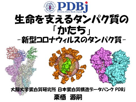 Shapes of proteins in living things : Molecules of COVID-19 (14 min)