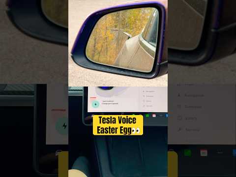 Does This Tesla Voice Command Actually Work? 😳😅