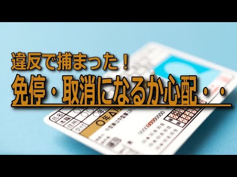 【交通違反】免停になるのは何点？運転免許点数制度を簡単に解説します。