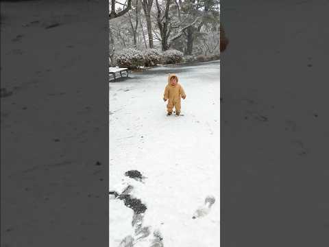 雪が降り積もった　1歳2か月