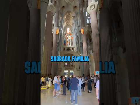 Sagrada Familia interior looks like a forest - absolutely gorgeous interior. #Barcelona #Spain