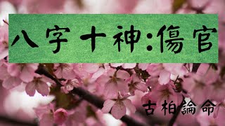 【古柏論命】八字的十神 – 傷官